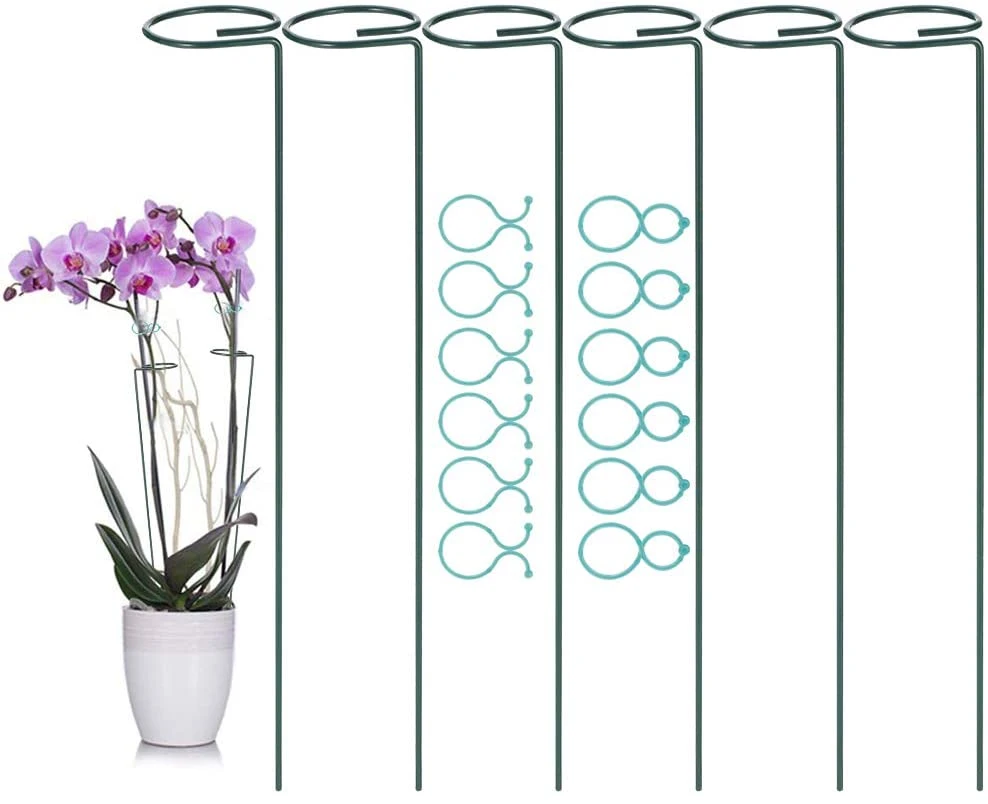 Single Stem Plant Support Stakes Steel Garden Stakes