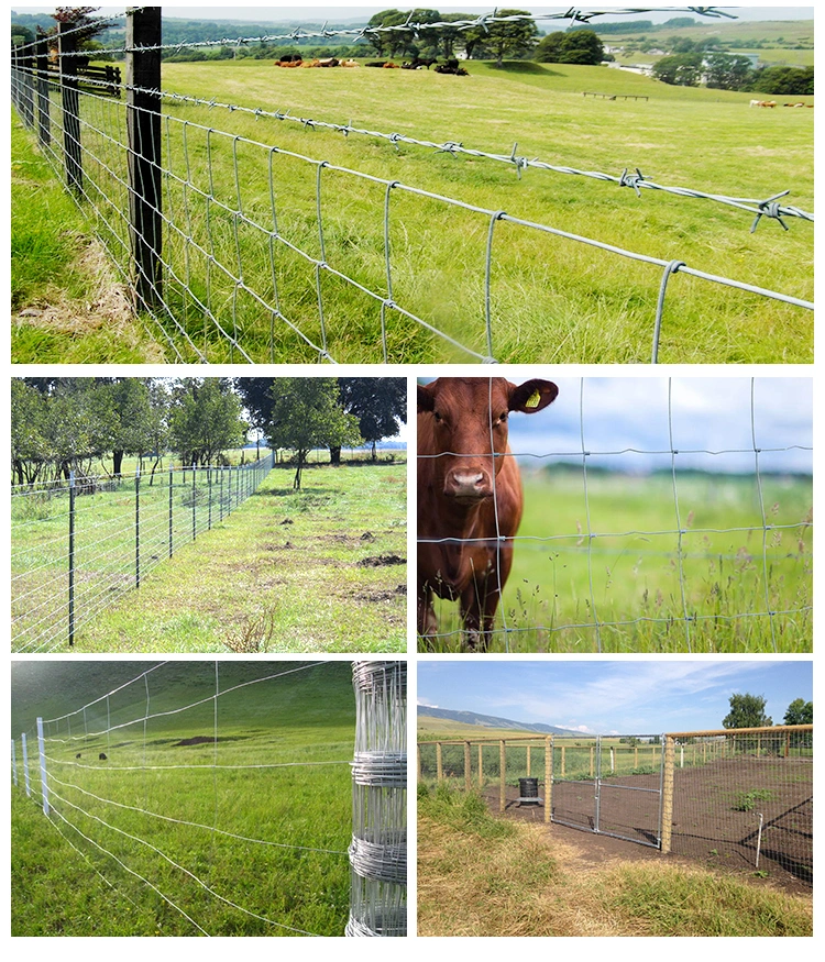 Electric Fencing Posts for Horses