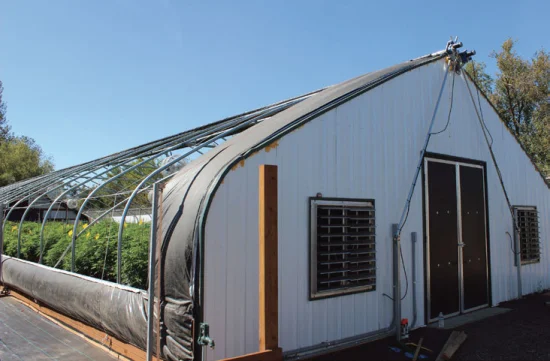 Film à effet de serre à tunnel à portée unique agricole Polycarbonate États-Unis Canada Cerceaux de pépinière